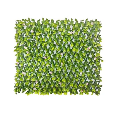 Kasvi säleikkö ulkona