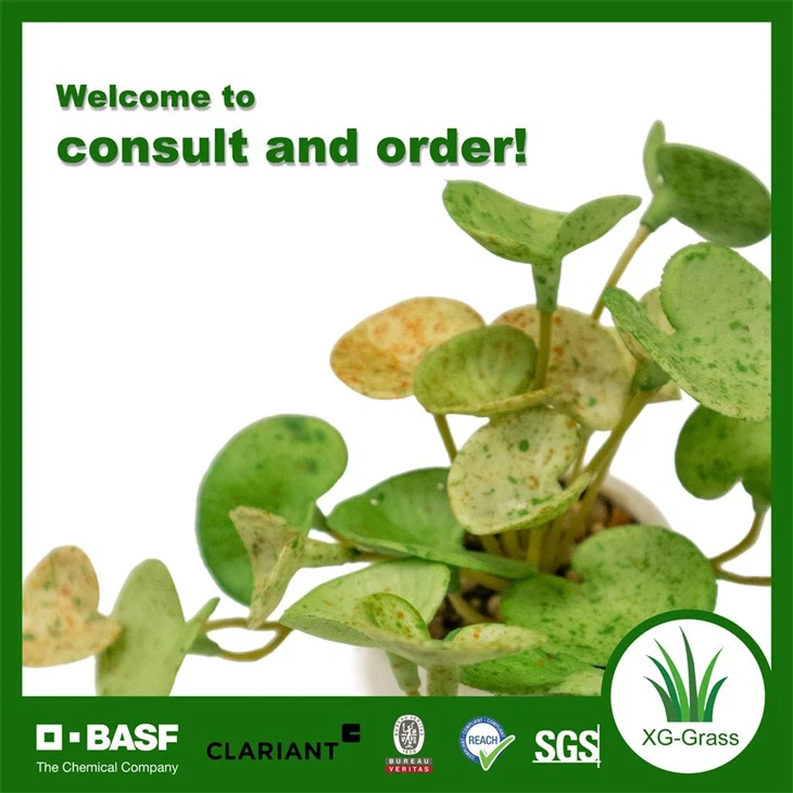 Xingu Beautifully Crafted Fake Succulent Plant For Indoor Spaces price