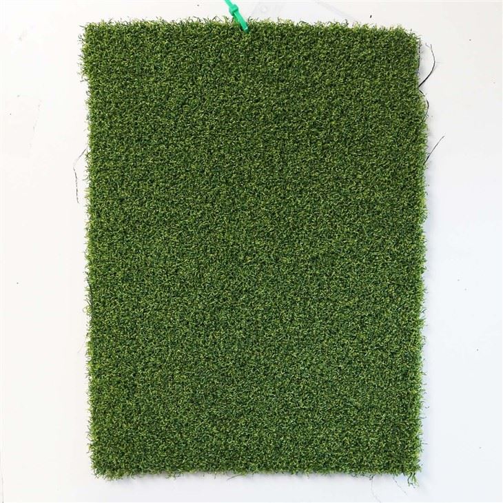 Golf Putting Greens For Backyard