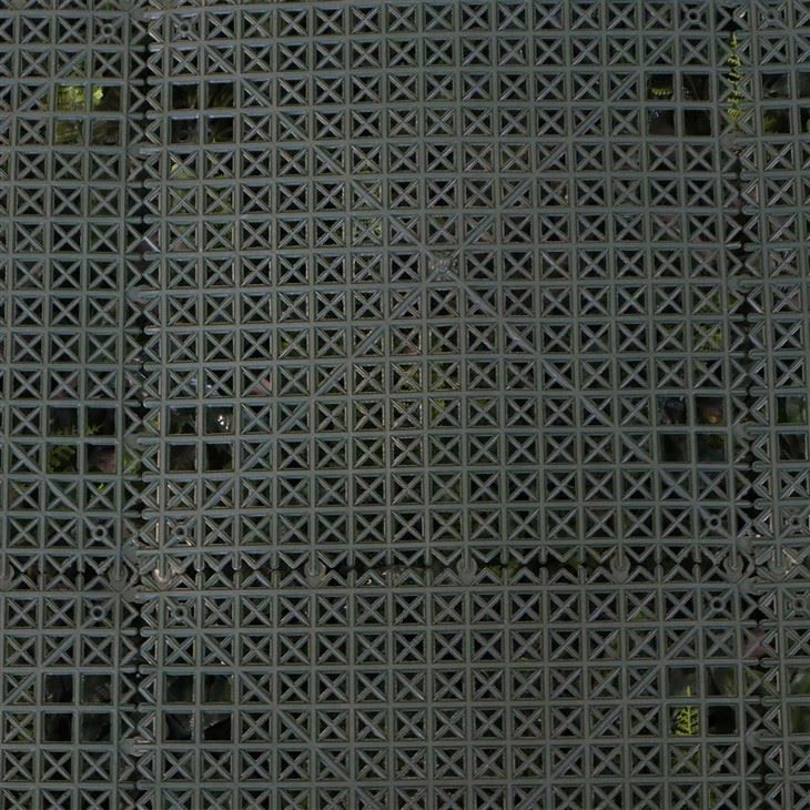 Plant Wall in Office