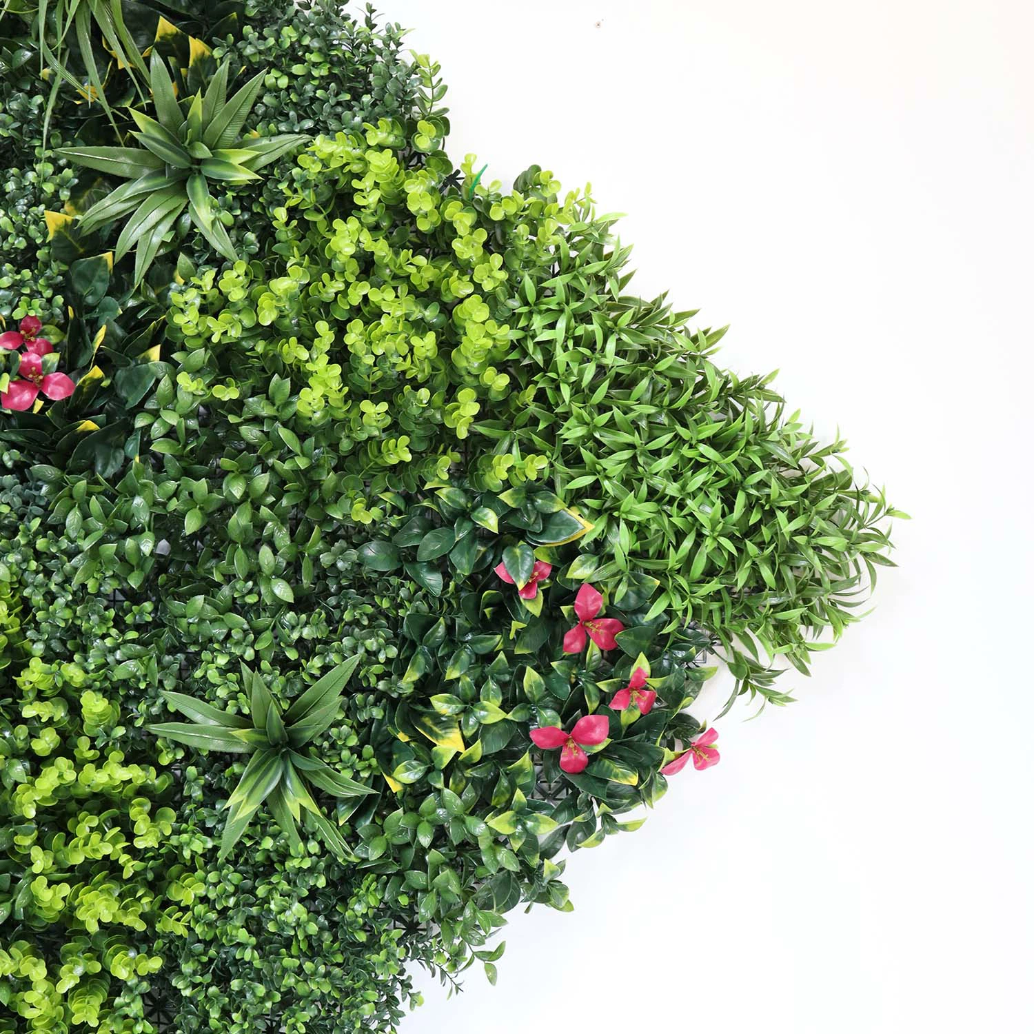 dining room plant wall dining room plant wall