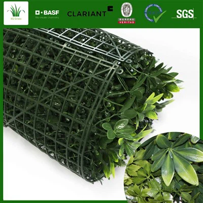 DIY Living Wall Indoor