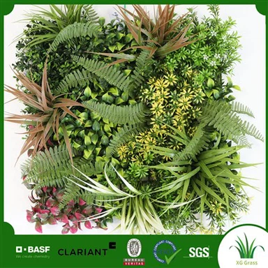 Kotitoimiston kasviseinä