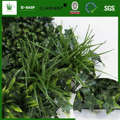 Living Moss Wall sisätiloissa