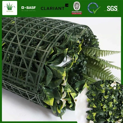 Pystysuuntainen Puutarha Money Plant