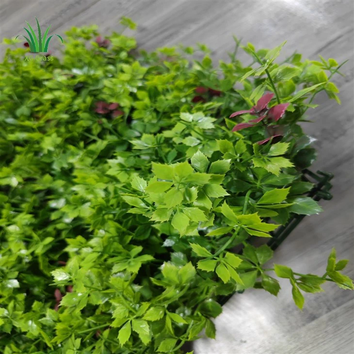 Vertical Garden Plants Indoor