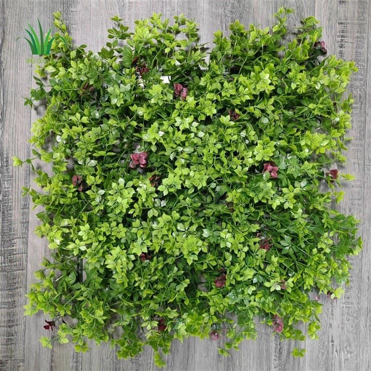 Vertical Garden Plants Indoor