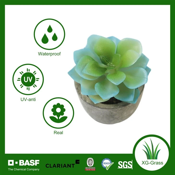 Realistic Succulent Indoor Decor high quality